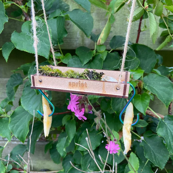 Pièces de jeu en bois